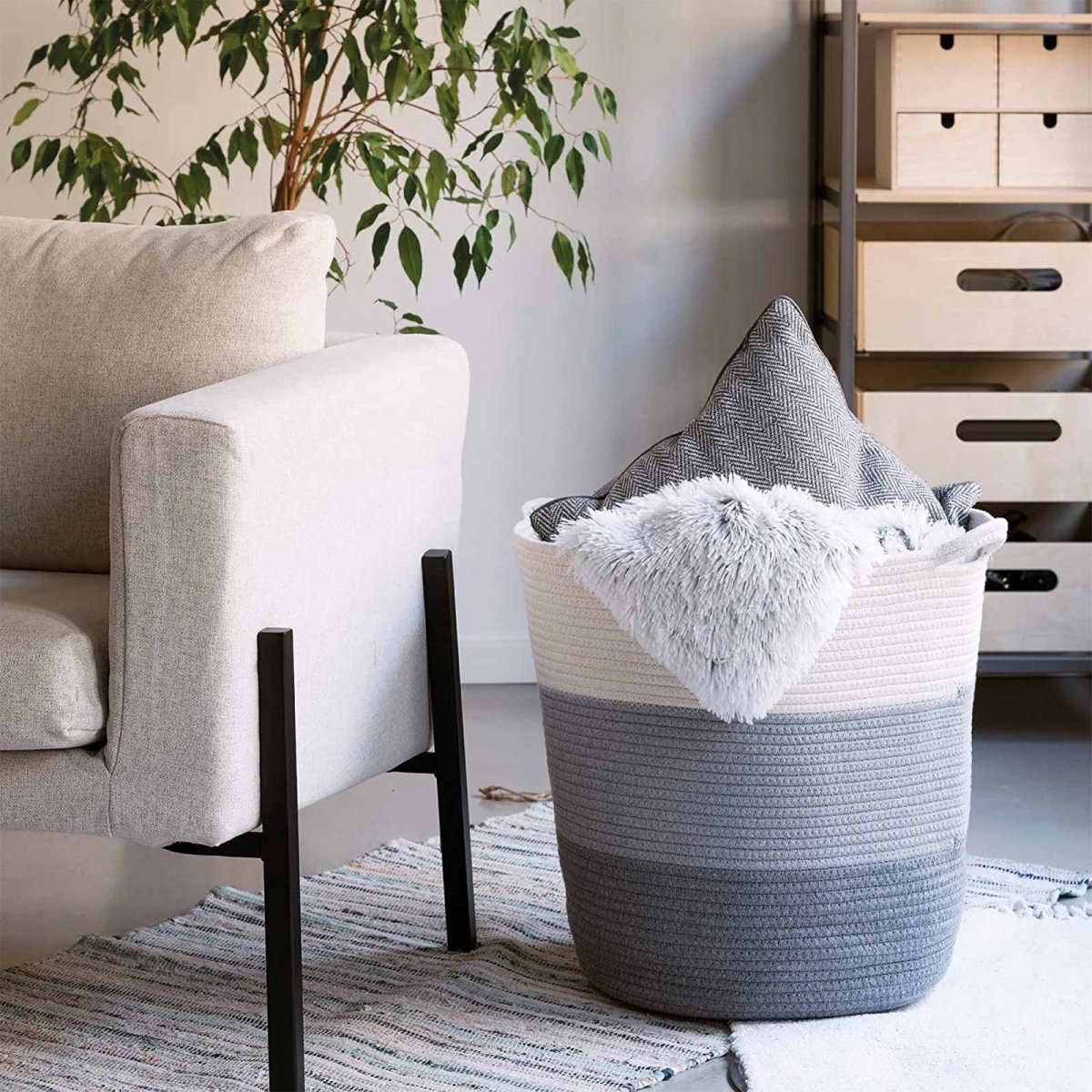 Tidy - Image 6